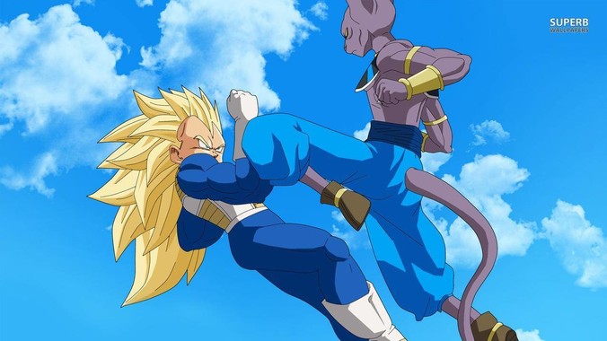 Partner 7